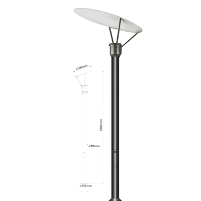 LI-8428 Decorative Outdoor Pole Light